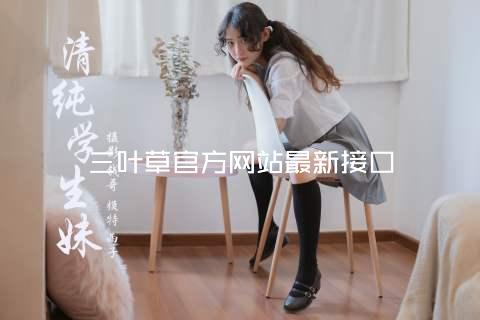 三叶草官方网站最新接口